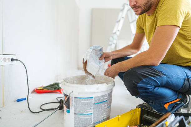 Best Basement Mold Removal  in Mountain Home, AR