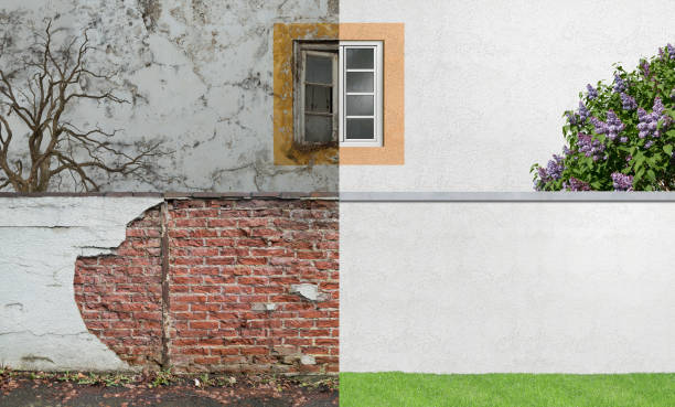 Best Commercial Mold Inspection  in Mountain Home, AR